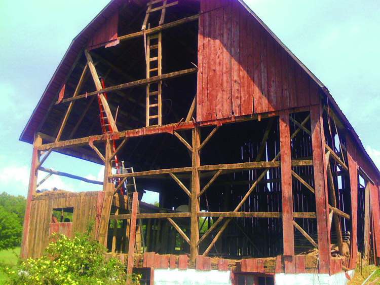 Wonder in the Woods - Cottage Barn